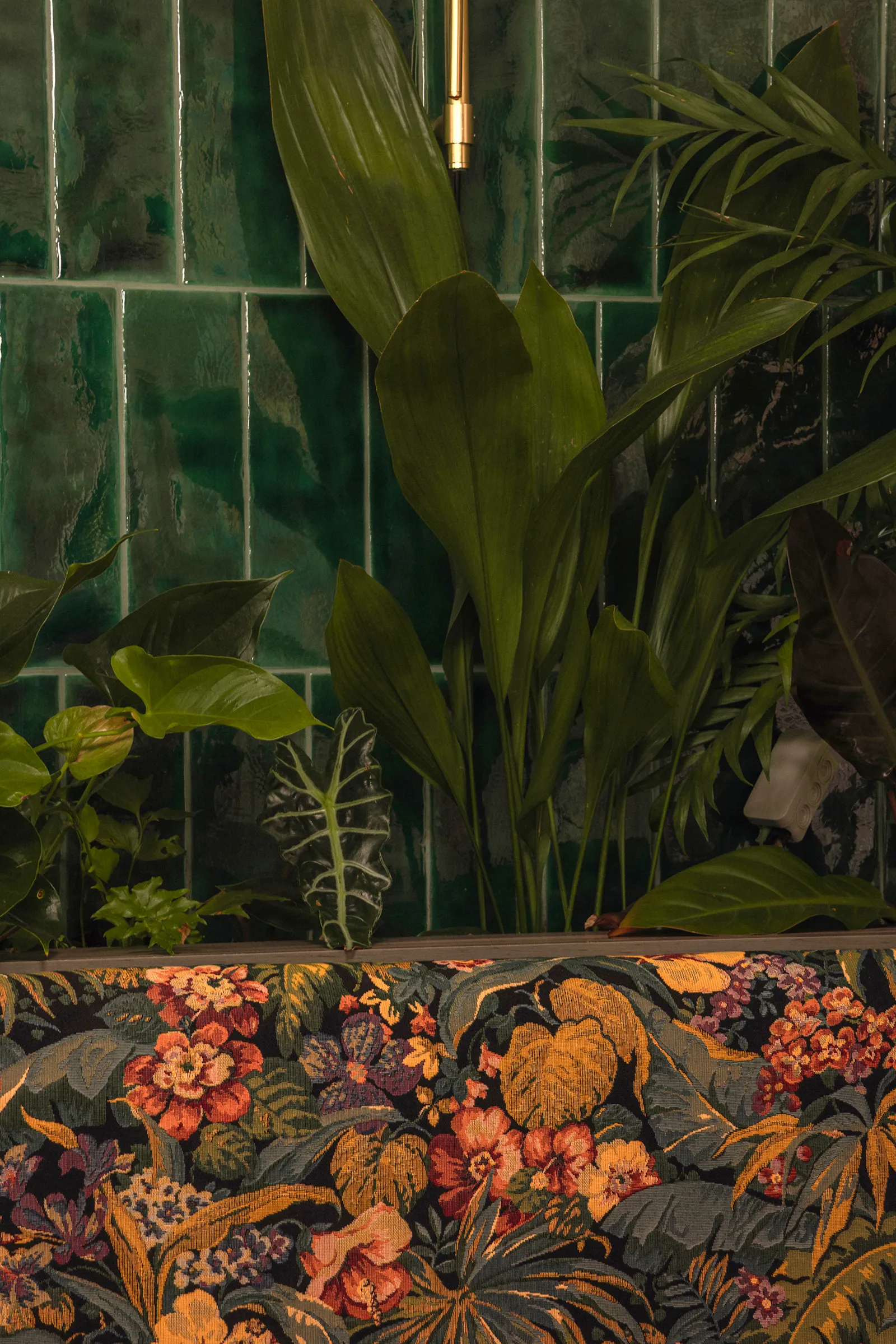 Vegetación enmarcada frente a azulejo verde esmaltado